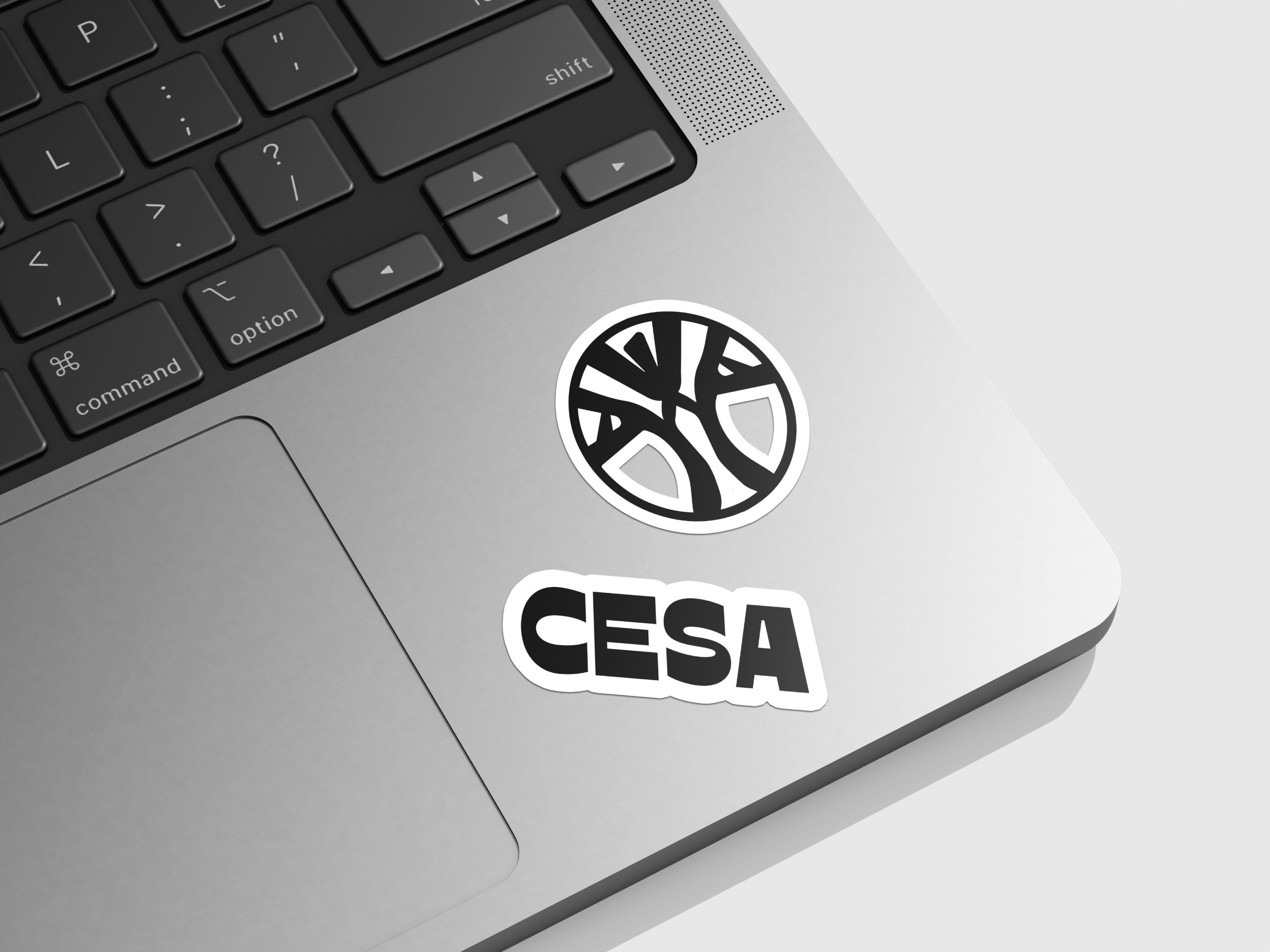 CESA Laptop